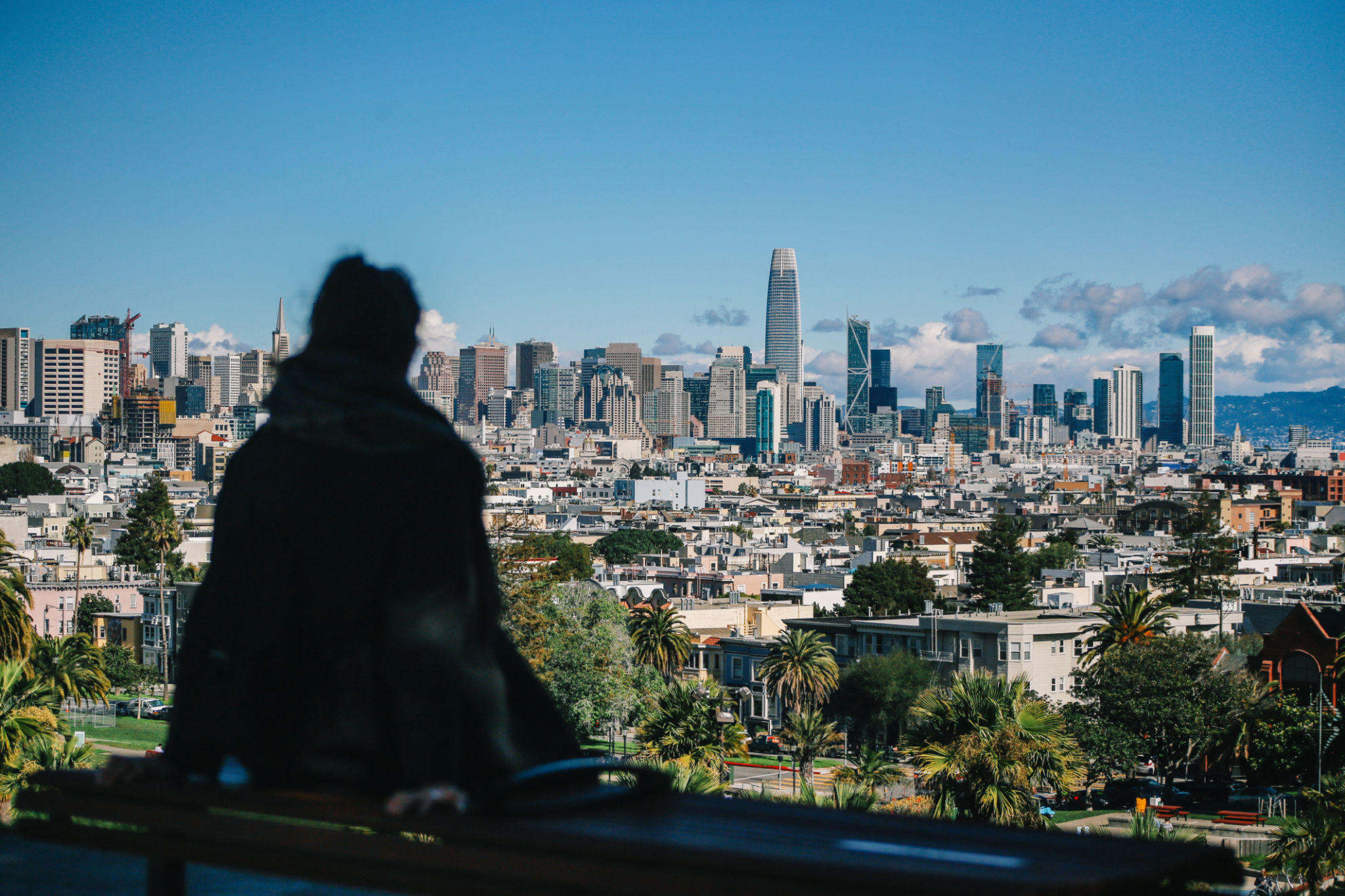 San Francisco skyline view